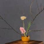 White Flower in Yellow Ceramic Vase on Brown Wooden Table
